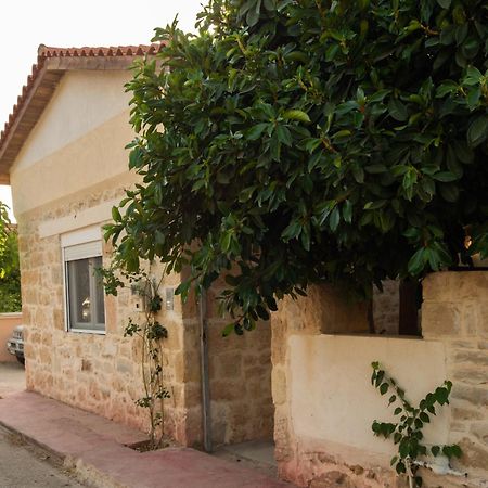 Petra Vori House Daire Dış mekan fotoğraf