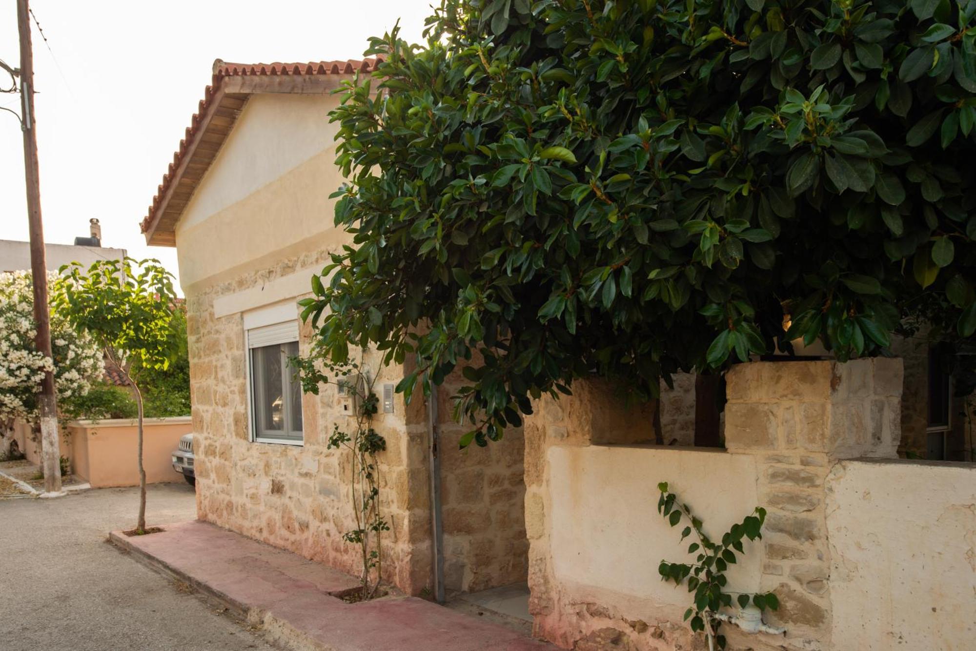 Petra Vori House Daire Dış mekan fotoğraf